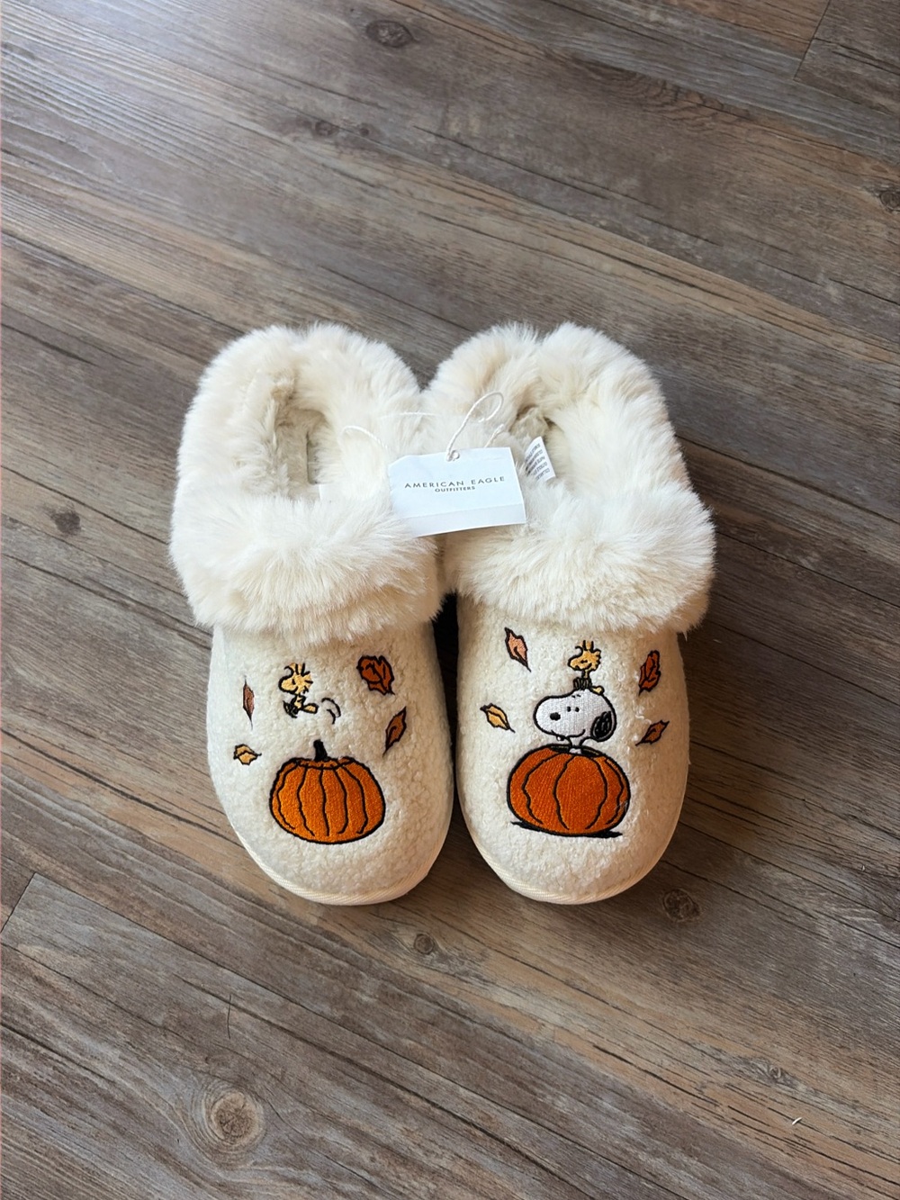 American Eagle Autumn Snoopy Slippers